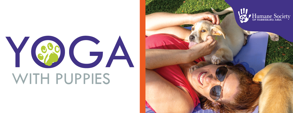 Weekend Yoga with Puppies